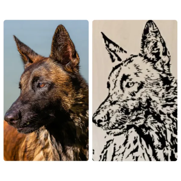 Portrait bois personnalise chien malinois
